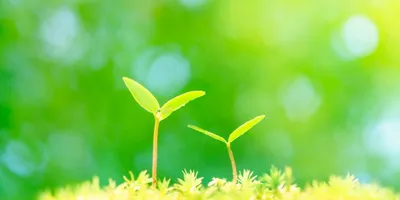 株式会社esprot 設立のご報告